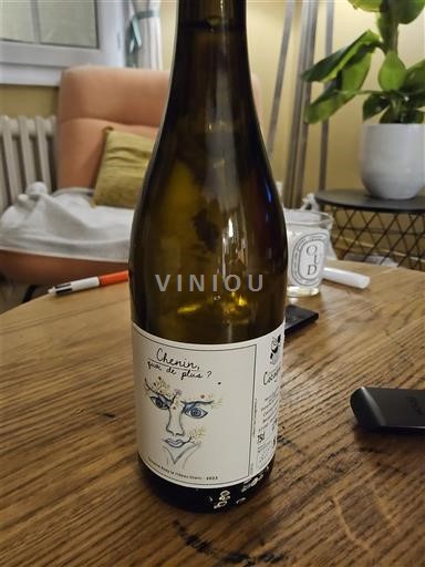 Wijnen Blanc sec Chenin pour de vrai Domaine Cocagne 2023 Frankrijk Loirevallei Touraine-Azay-le-Rideau AOC