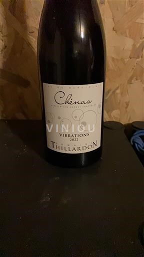 Beaujolais Chénas Thillardon Vibrations 2022