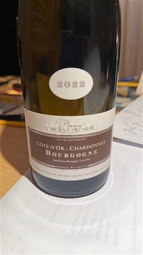 Burgund Burgund Côte d'Or Domaine Vincent Prunier Côte d'Or Chardonnay 2022
