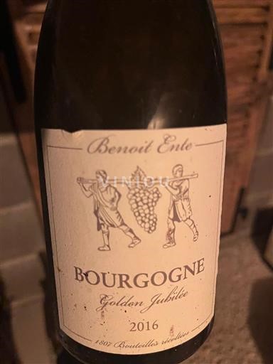 Burgundy Benoît Ente Golden Jubilee 2016