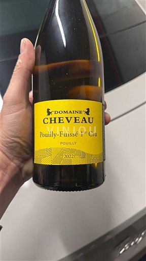 Bourgondië Niet gespecificeerd Premier Cru Domaine Cheveau 2022