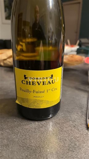 Borgogna Non specificato Premier Cru Domaine Cheveau 2022