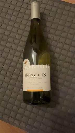 Jugozahod Côtes de Gascogne Domaine Horgelus 2024