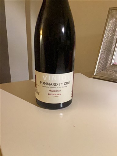 Bourgogne Pommard Premier Cru Yvonnick Debray Rugiens 2014