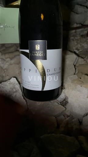 Languedoc a Roussillon Pays d'Oc Domaine Janéglý Oppidum Neročník