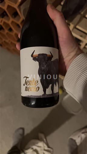 Wines Rouge sec Tente Negro 2021 France South West Vin de France