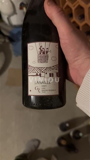 Loire Valley Cabernet d'Anjou Vincent Doussot Canaille 2021