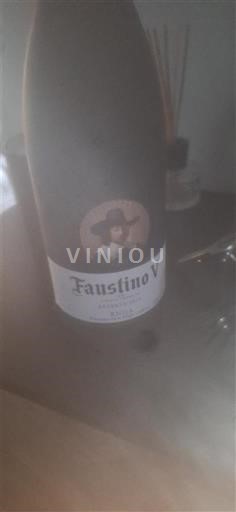 La Rioja Rioja Faustino V Non Millésimé