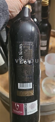 Castilië-La Mancha Valdepeñas Pata Negra Roble Niet-geïntegreerd