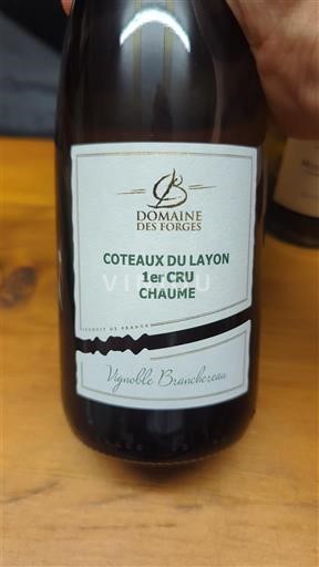 Valle del Loira No especificado Domaine S Forges Vignoble Branchereau 2023