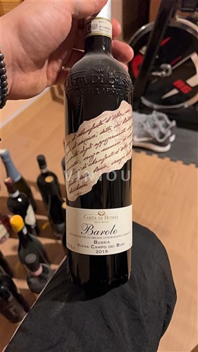 Piemont Barolo Costa di Bussia Bussia Vigna Campo dei Buoi 2019