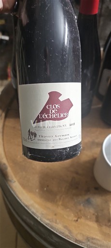 Loire-dalen Saumur-Champigny Domaine S Roches Neuves Clos de l'Échelier 2021