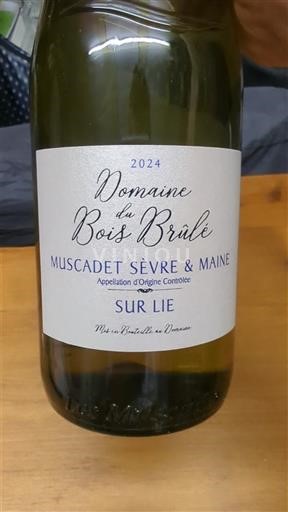 Loire-dalen Muscadet-Sèvre-et-Maine Domaine Bois Brûlé Sur Lie 2024