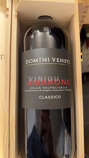 Benecija Amarone della Valpolicella Domìni Veneti Classico 2021