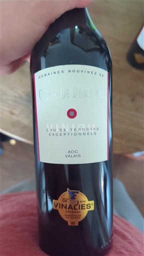 Valais Domaine Domaines Bouviens SA Cœur de Domaines 2022