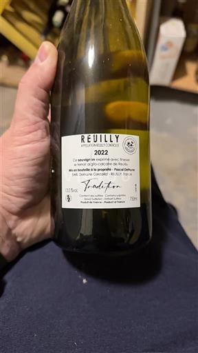 Vale do Loire Reuilly Domaine Cordier Tradition 2022