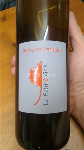 Vallée de la Loire Muscadet-sèvre-et-maine Domaine Petiteau Le Petit Ô Gris 2024