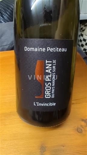 Vallée de la Loire Domaine Petiteau L'Invincible 2024