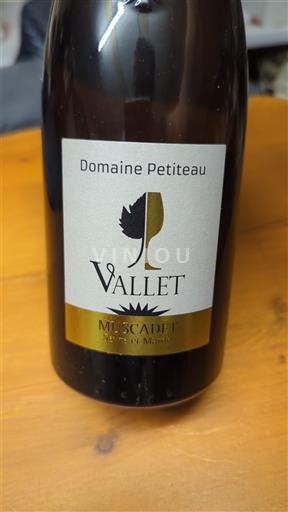 Vallée de la Loire Muscadet-sèvre-et-maine Domaine Petiteau Vallet 2020