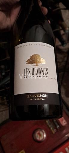 Dolina Loare Touraine Château La Bonnelière Les Devants Neleten.