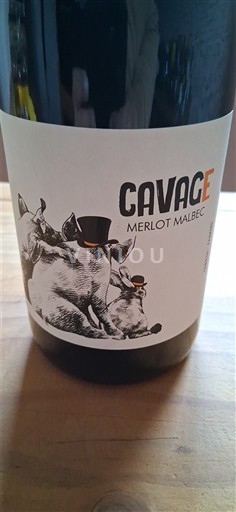 Wines Rouge sec Cavage 2022 France South West Vin de France