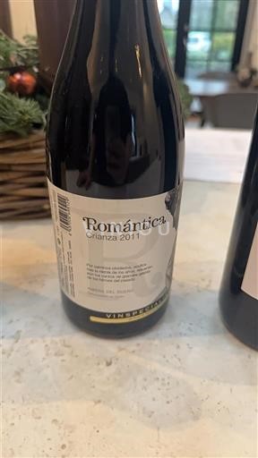 Kastilia ja León Ribera del Duero Romántica Crianza 2011