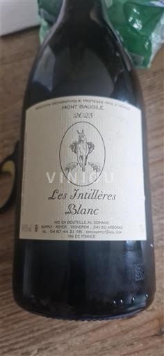 Languedoc and Roussillon Mont Baudile Domaine Supply-Royer Les Intilleres Blanc 2023
