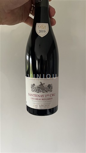 Bourgondië Niet gespecificeerd Premier Cru P. & L. Borgeot Les Beauregards 2019