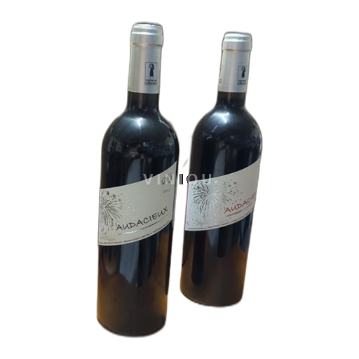 Bordeaux Haut-Médoc Cussac Fort Medoc Audacieux 2022