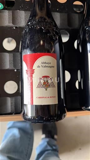 Languedoc Abbaye de Valmagne Cardinal de Bonzi 2012