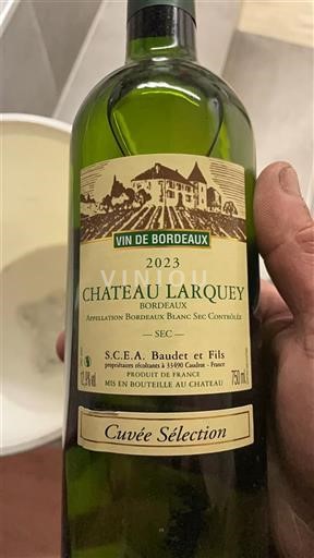 Bordeaux Bordeaux Weißwein Château Larquey Sélection 2023