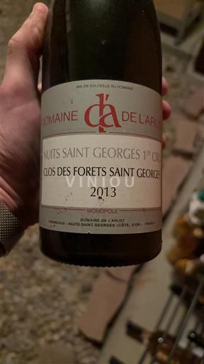 Borgogna Nuits-Saint-Georges Premier Cru Domaine L'Arlot Clos des Forêts Saint Georges 2013