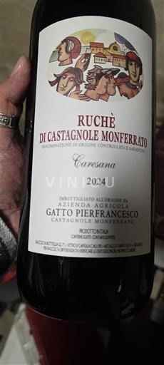 Piemonte NULL Gatto Pierfrancesco Caresana 2024