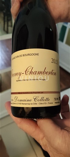 Burgundsko Gevrey-Chambertin Domaine Collotte 2023