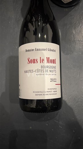 Burgundsko Nespecifikováno Domaine Emmanuel Giboulot Sous le Mont 2022