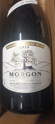 Beaujolais Morgon Domaine La Chène du Py du Papy 2019
