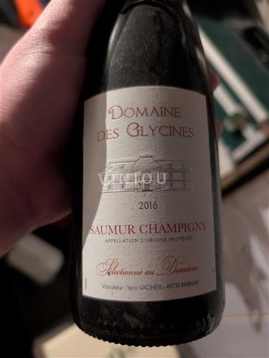 Loiren laakso Saumur-champigny Domaine S Glycines 2016