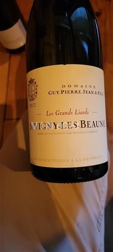 Bourgogne Savigny-lès-beaune Domaine Guy-Pierre Jean & Fils Les Grands Liards 2022