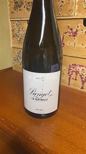 Bourgogne Crémant de Bourgogne Parigot La Sentinelle 2024