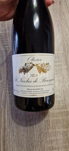 Valle della Loira Saint-Nicolas-De-Bourgueil Olivier 2024