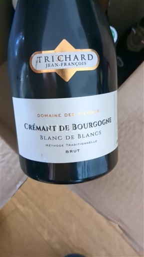 Bourgogne Crémant de Bourgogne Trichard Jean-François Domaine des Riches Ikke årgangsbestemt