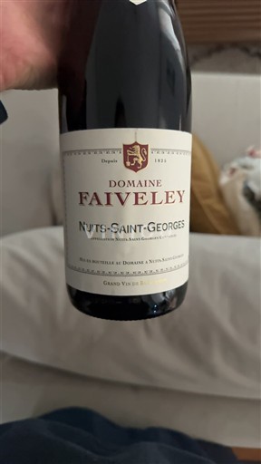 Bourgogne Nuits-saint-georges Domaine Faiveley 2016
