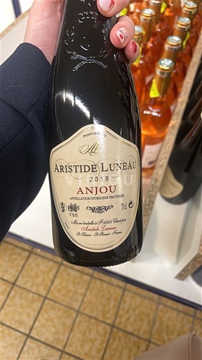 Valle della Loira Anjou Aristide Lunbau 2018