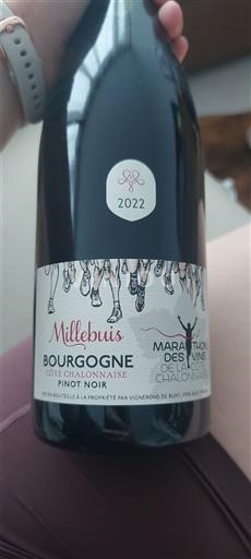 Wines Rouge sec Pinot noir Millebuis 2022 France Burgundy Burgundy Côte Chalonnaise AOC