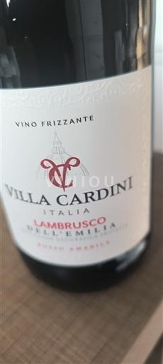 Emilia-Romagna Nicht spezifiziert Villa Cardini Ohne Jahrgang