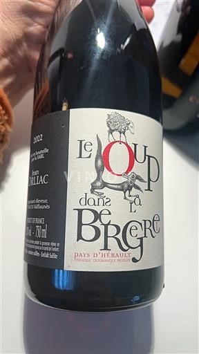 Langvedok Ni doloceno Jean Orliac Le Loup dans la Bérgere 2022