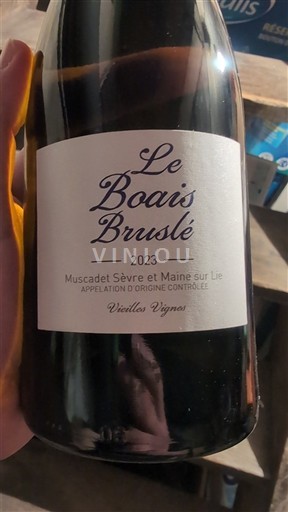 Loire-dalen Muscadet-Sèvre-et-Maine Domaine Bois Brûlé Vieilles Vignes 2023