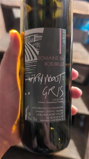 Dolina Loare Domaine Bois Brûlé Pinot Gris 2024