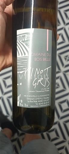 Loire Valley Domaine Bois Brûlé Pinot Gris 2024