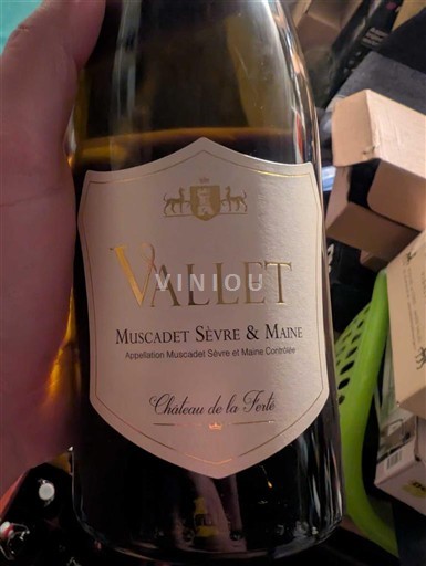 Loiren laakso Muscadet-sèvre-et-maine Château La Ferté Vallet 2020